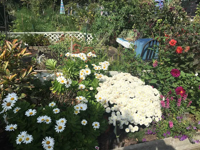 Roosevelt Island Garden Club Picture 7