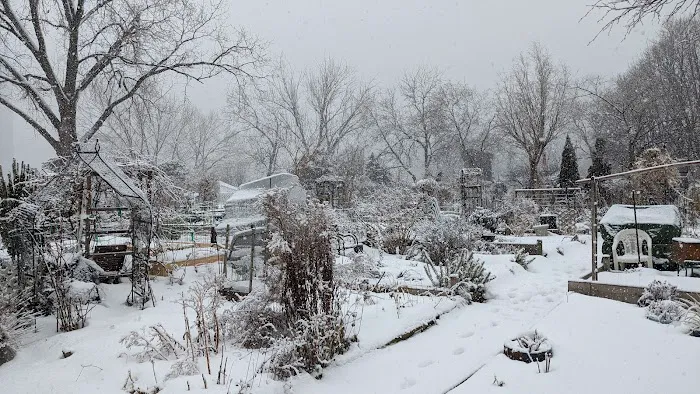 Roosevelt Island Garden Club Picture 9