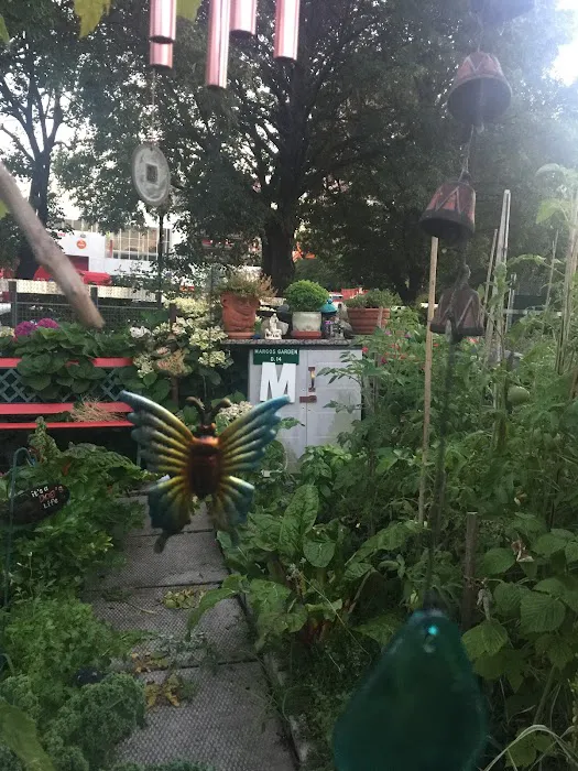 Roosevelt Island Garden Club Picture 10