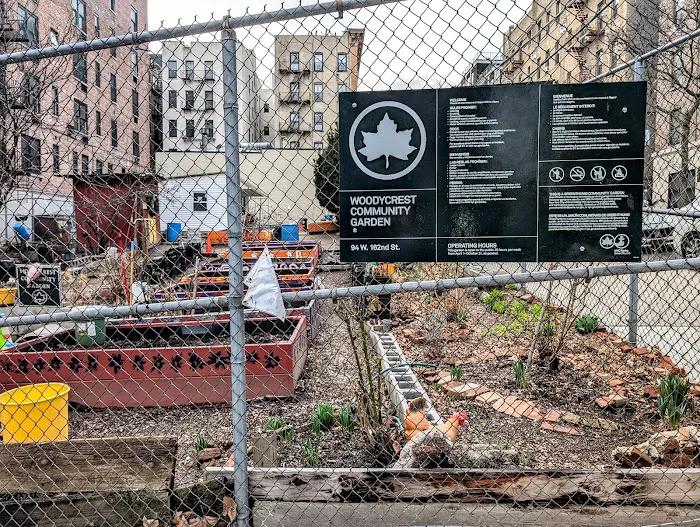 Woodycrest Community Garden Picture 1
