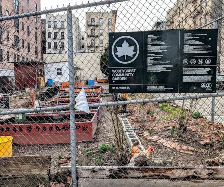 Woodycrest Community Garden