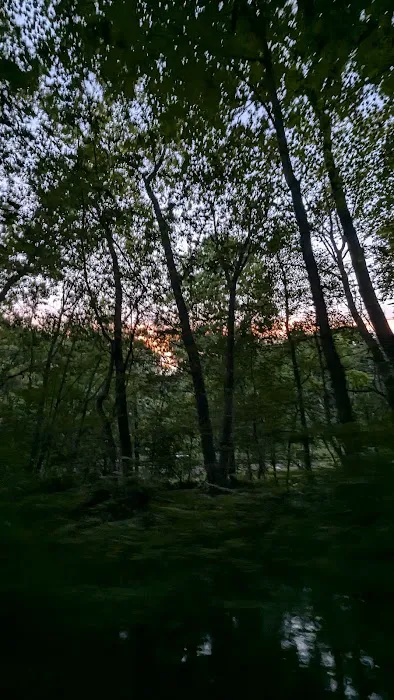 Bronx River Greenway Picture 2