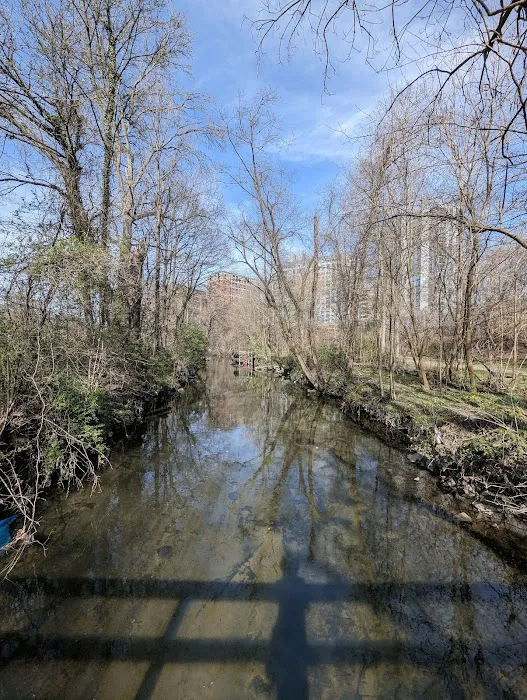 Bronx River Greenway Picture 5