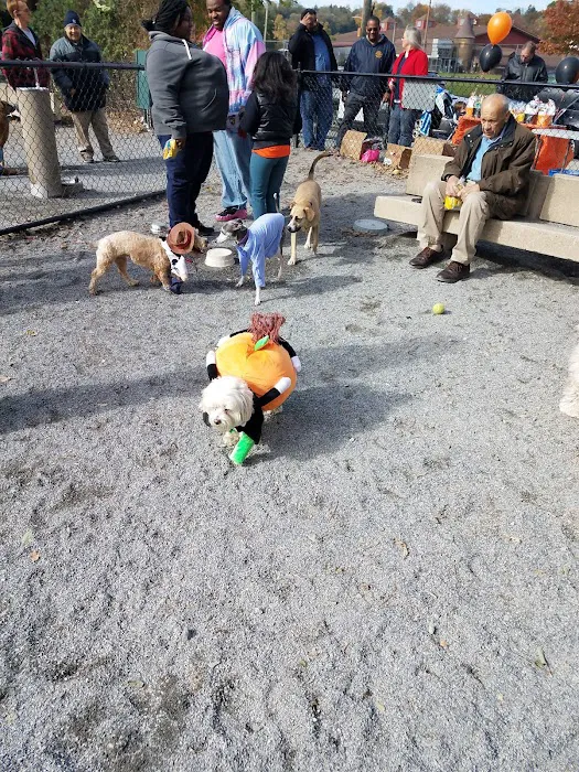 Bark Park - Off-Leash Dog Run for Members Only Picture 7