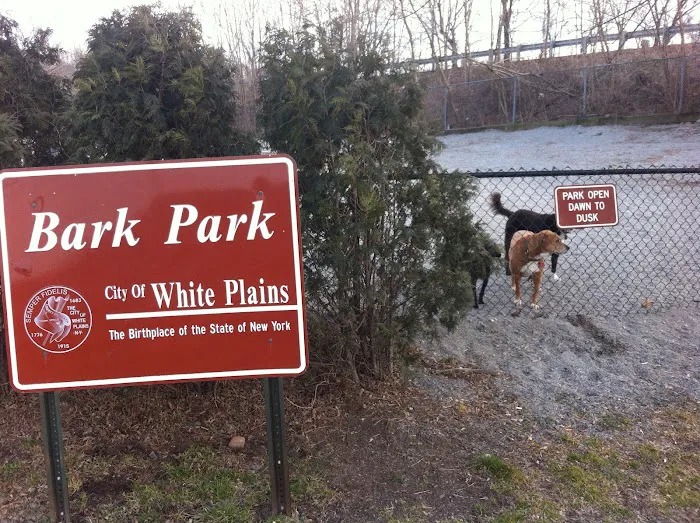 Bark Park - Off-Leash Dog Run for Members Only Picture 3