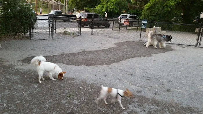 Bark Park - Off-Leash Dog Run for Members Only Picture 6