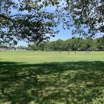 Marine Park Alternate Cricket Fields