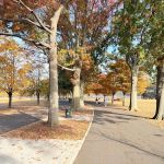 Oval Hiking Path