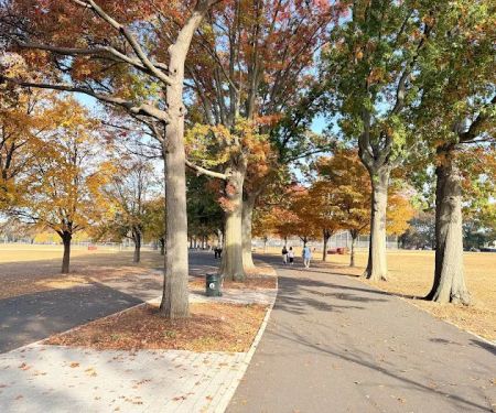 Oval Hiking Path