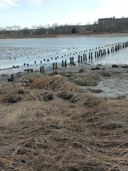 Marine Park Kayak Launch Picture 4