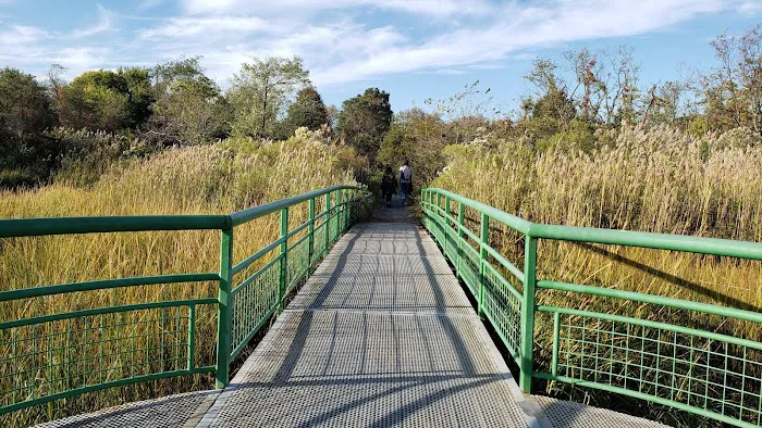 Marine Park Salt Marsh Nature Trail Picture 6