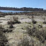 Marine Park Salt Marsh Nature Trail