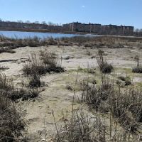 Marine Park Salt Marsh Nature Trail ico