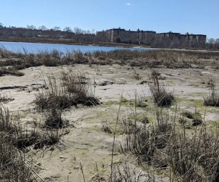 Marine Park Salt Marsh Nature Trail