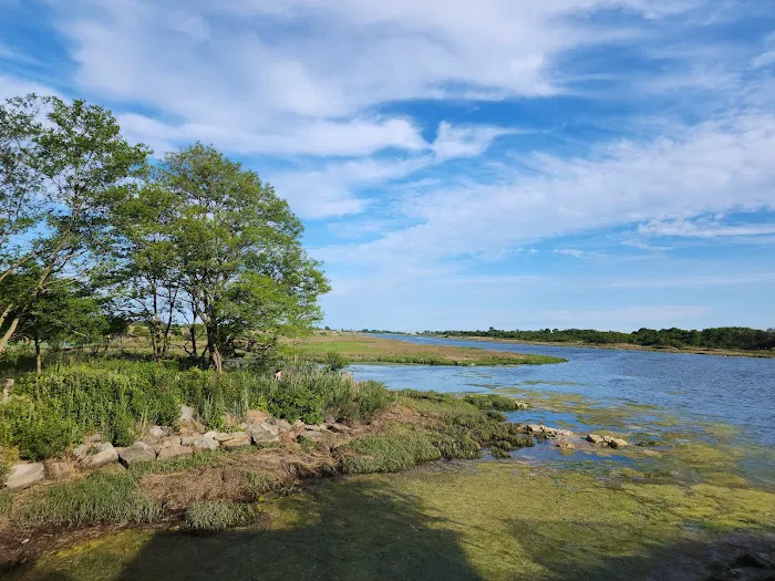 Marine Park Salt Marsh Nature Trail Picture 7