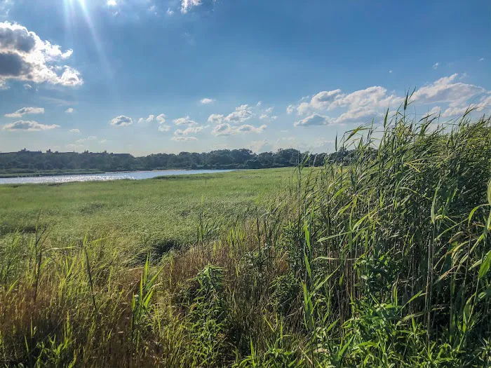 Marine Park Salt Marsh Nature Trail Picture 3