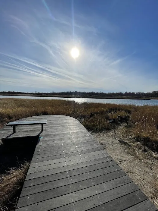 Marine Park Salt Marsh Nature Trail Picture 2