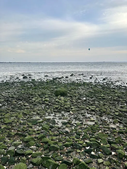 Plumb Beach West Picture 4