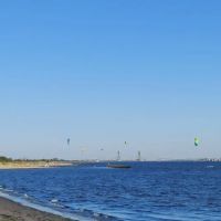 Lew Fidler Park ico