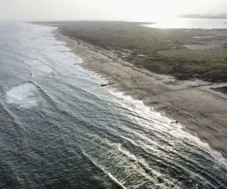 Riis Beach Shore Line