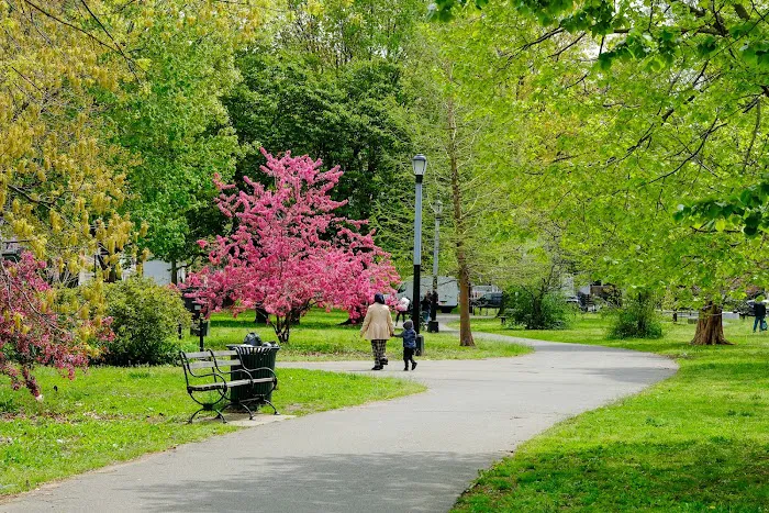 Amersfort Park Picture 7