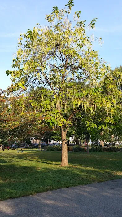 Amersfort Park Picture 2