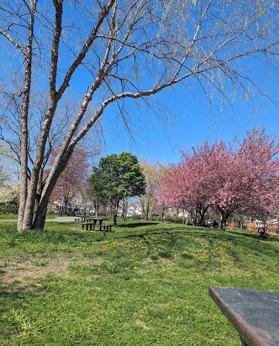 Amersfort Park Picture 6