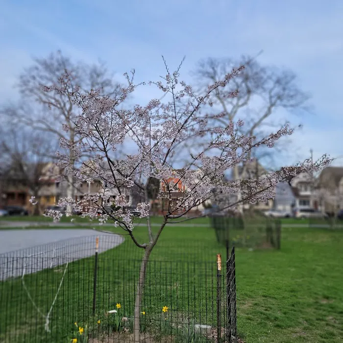 Amersfort Park Picture 8