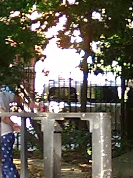 Kennedy King Playground Picture 2