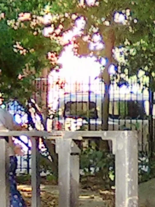 Kennedy King Playground Picture 4