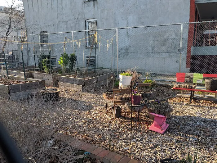 Sunkissed Garden Picture 2