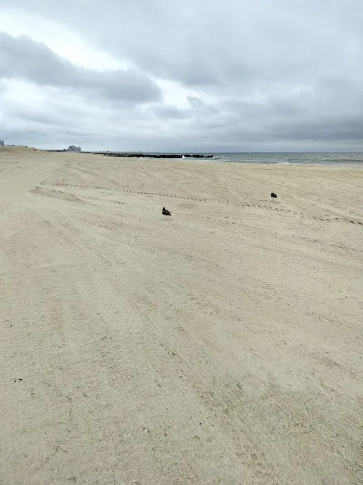 Rockaway Hotel Picture 2