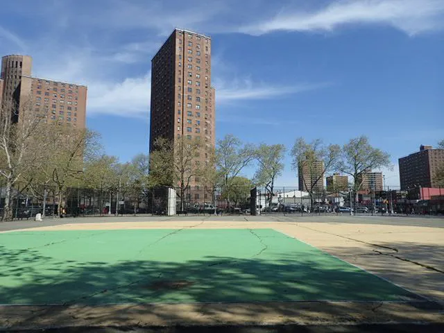 Dr. Green Playground Picture 8