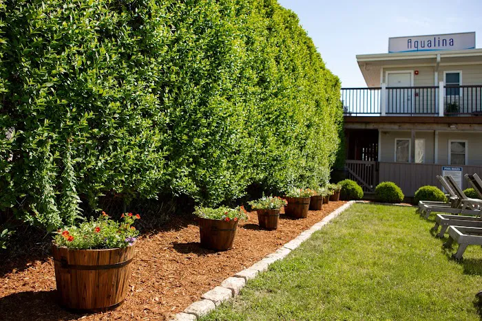 Aqualina Inn Montauk Picture 4