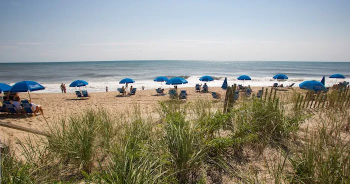 Montauk Blue Hotel Picture 9