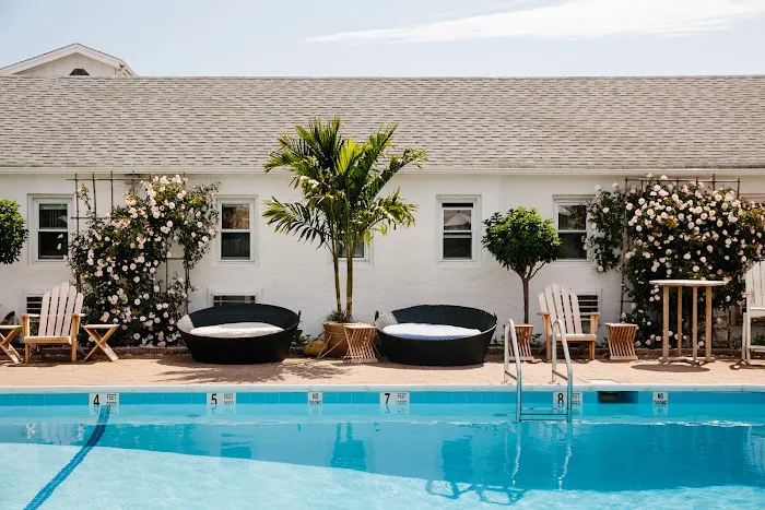 Daunt's Albatross Motel Picture 5