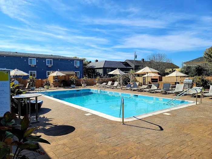 Daunt's Albatross Motel Picture 8