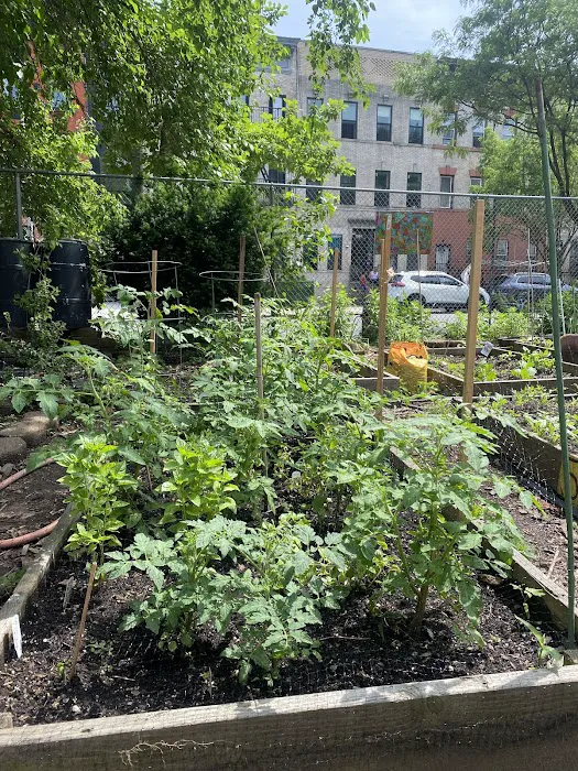 Umoja Community Garden Picture 7
