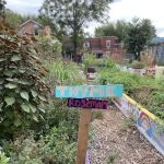 Good Life Garden
