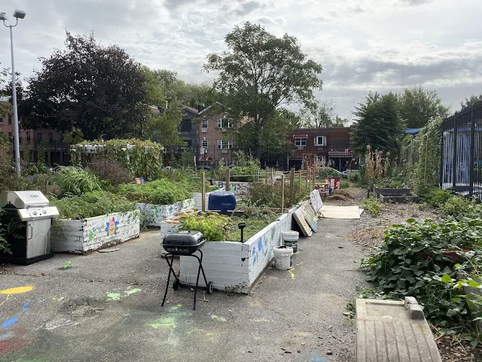 Good Life Garden Picture 2