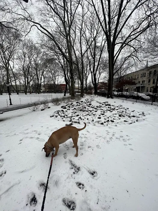 Msgr. McGolrick Park Picture 8