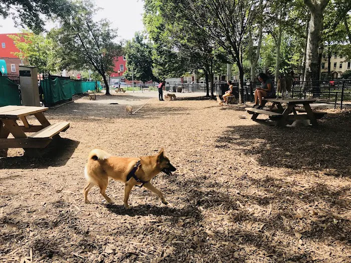 McGrowl-Lick Park Dog Run Picture 3