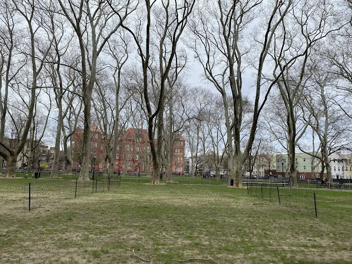 McGrowl-Lick Park Dog Run Picture 1