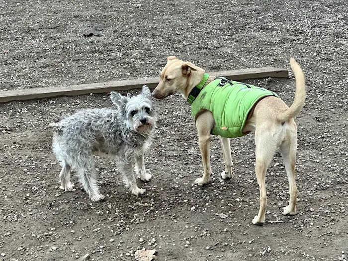 McGrowl-Lick Park Dog Run Picture 7