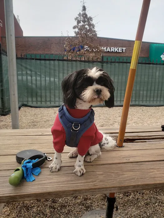 McGrowl-Lick Park Dog Run Picture 8
