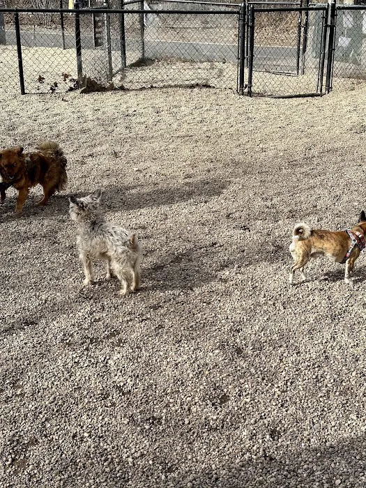 McGrowl-Lick Park Dog Run Picture 10