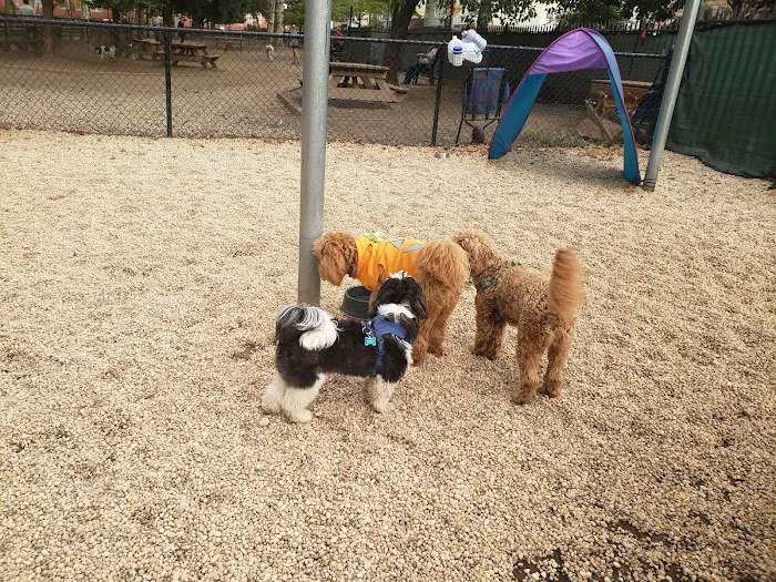 McGrowl-Lick Park Dog Run Picture 9