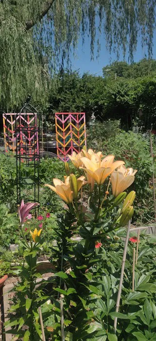 Red Shed Community Garden Picture 1