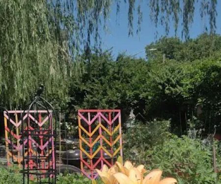 Red Shed Community Garden
