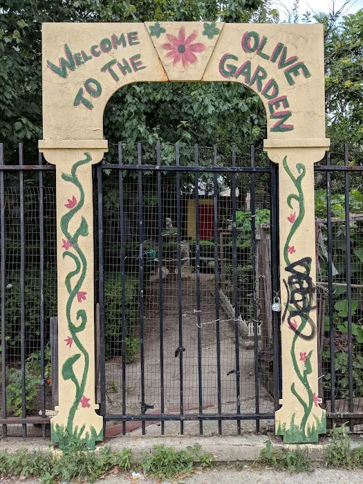 Olive Street Garden Picture 1